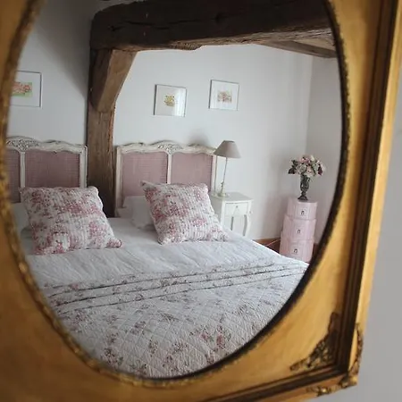 Les Agapanthes Gasny