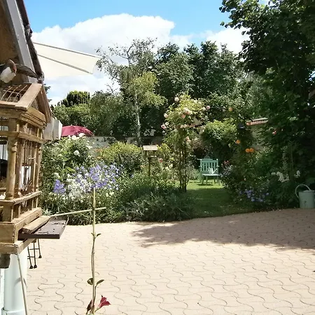 Les Agapanthes Gasny