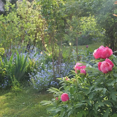 Les Agapanthes 3* Gasny