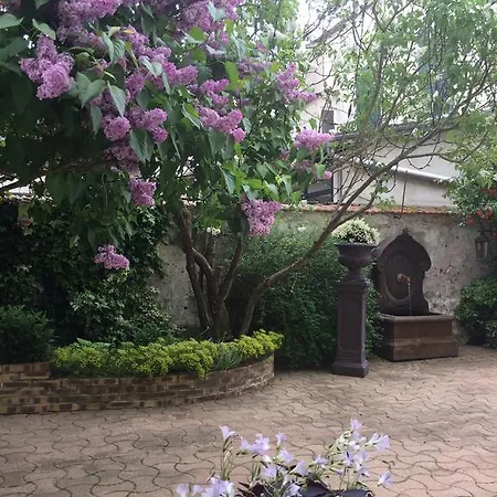 Les Agapanthes Bed & Breakfast 3*
