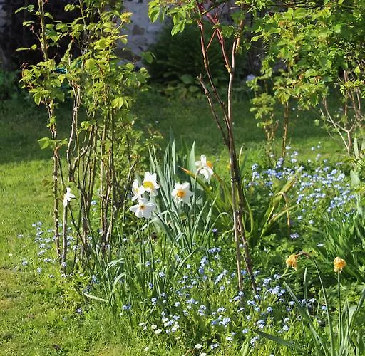 Bed & Breakfast Les Agapanthes 3*