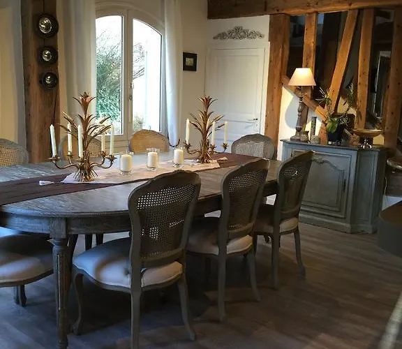 Les Agapanthes Gasny