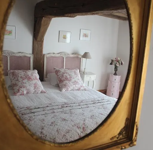 Les Agapanthes Gasny