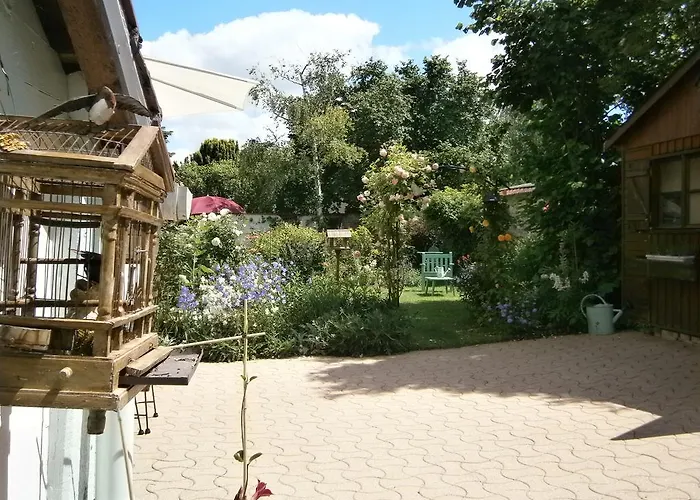 Les Agapanthes Gasny