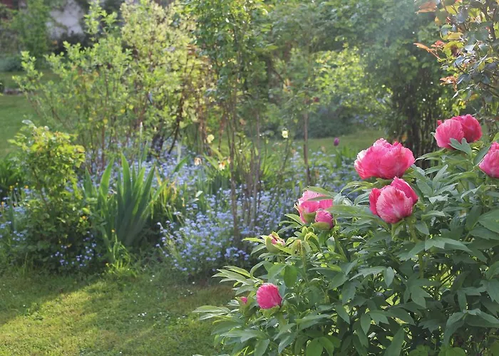 Les Agapanthes 3* Gasny