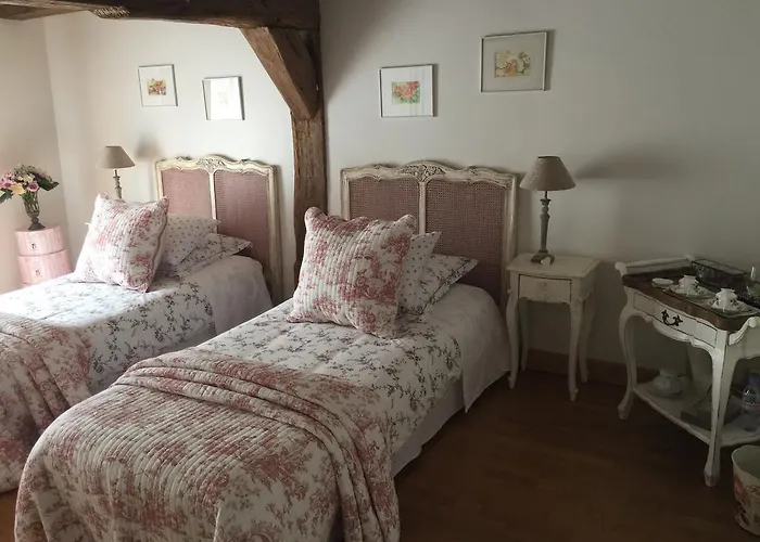 Les Agapanthes Gasny