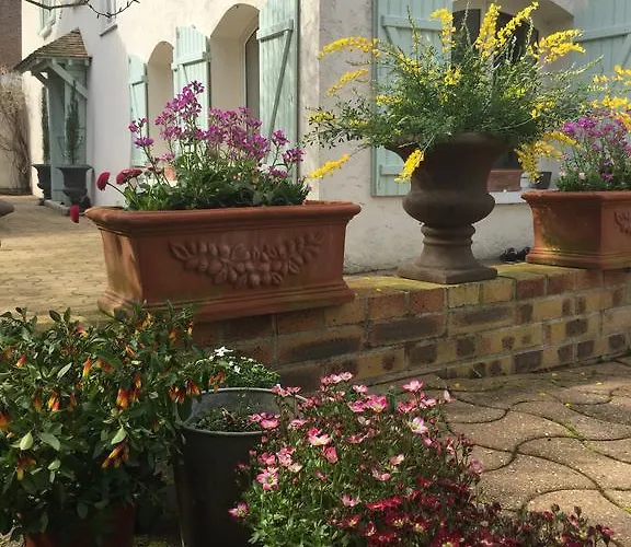 Bed & Breakfast Les Agapanthes