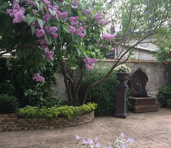 Les Agapanthes Bed & Breakfast 3*