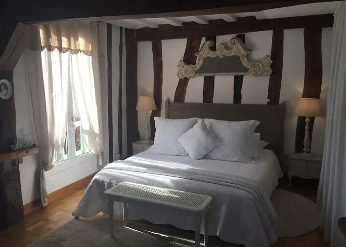 Les Agapanthes Gasny